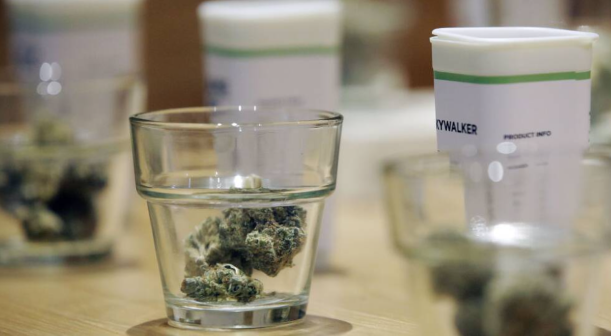 Cannabis in a glass with child resistant containers in background