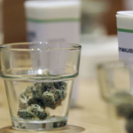Cannabis in a glass with child resistant containers in background